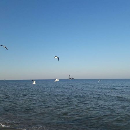 Kuestenwilla Fewo Usedom Zinnowitz Bagian luar foto